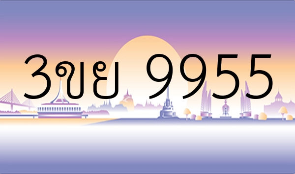 3ขย 9955
